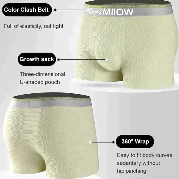 Antibacterial Breathable Sweat Absorbent Men's Boxer Briefs(50% OFF)