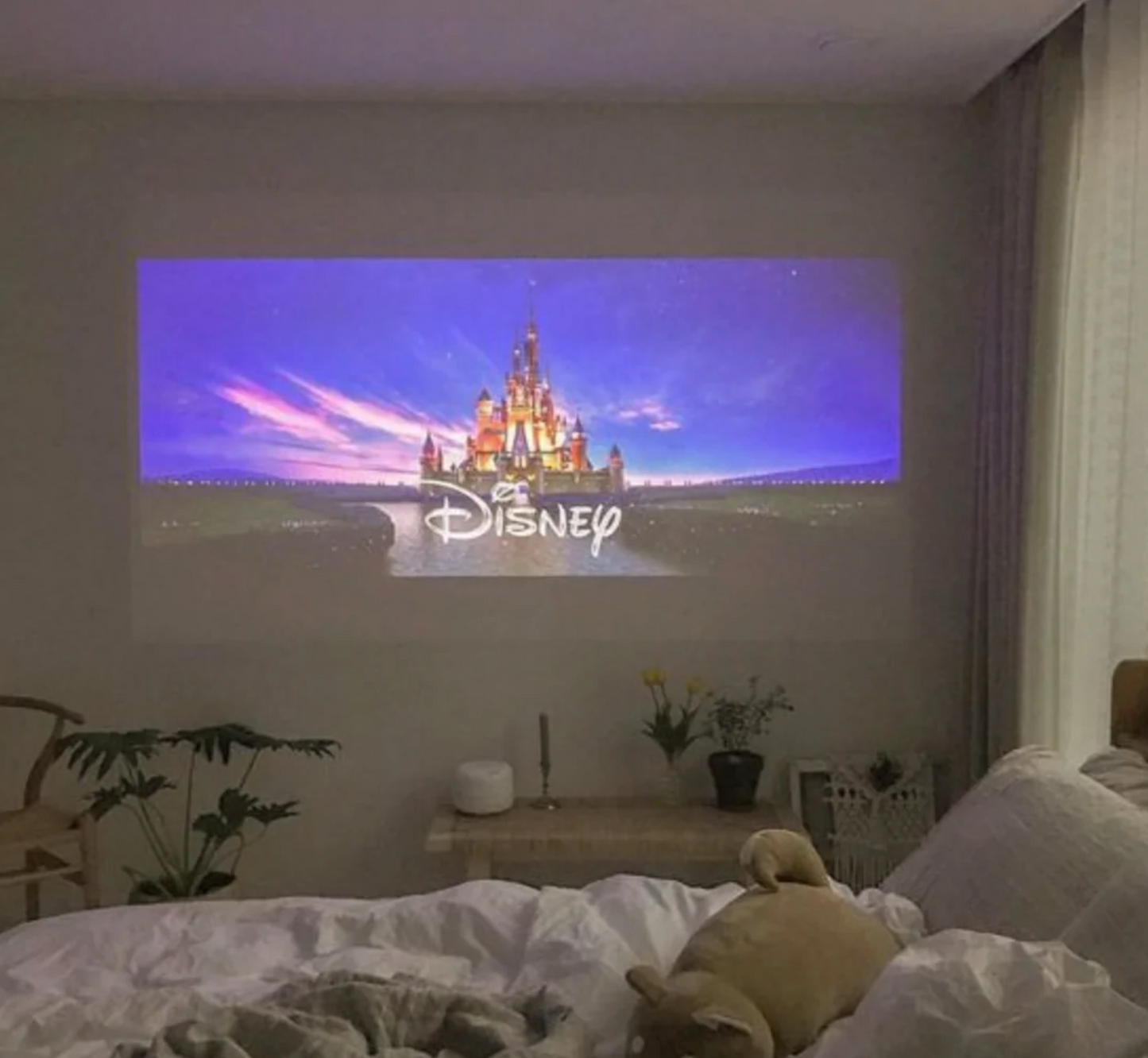 Mini Projector